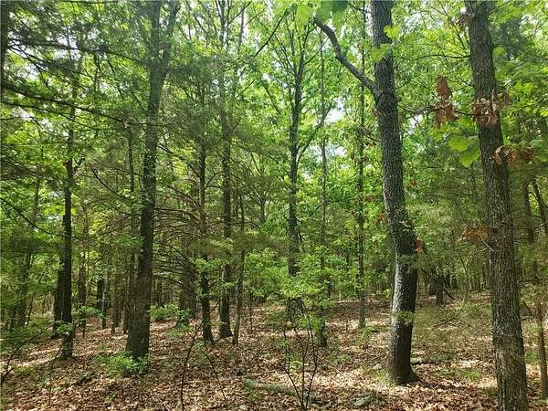 5 Acres of Residential Land for Sale in Elkins, Arkansas