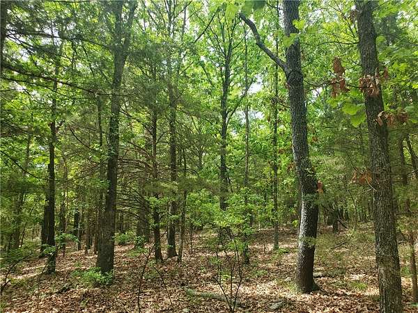 5 Acres of Residential Land for Sale in Elkins, Arkansas