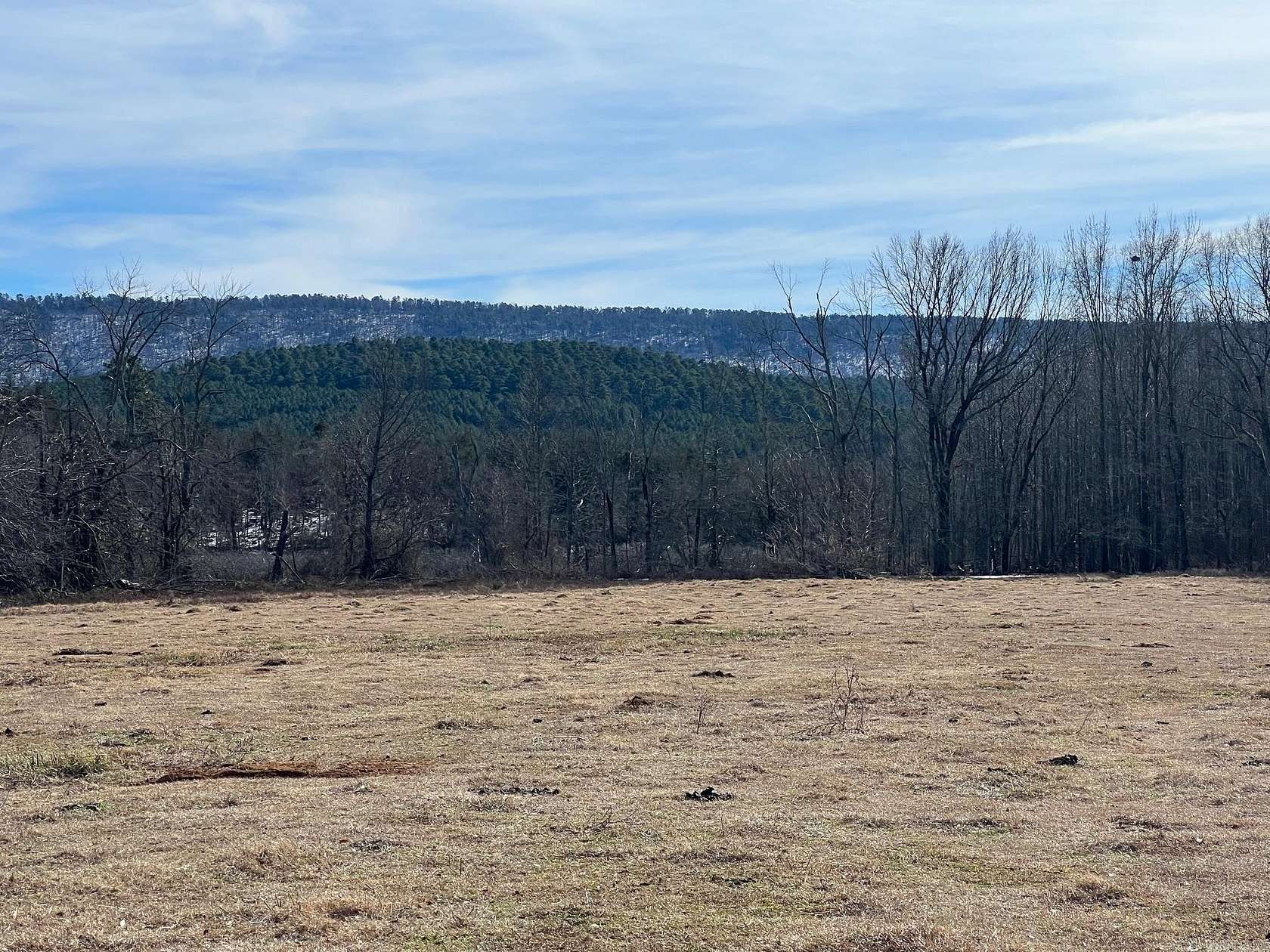 61.4 Acres of Land for Sale in Waldron, Arkansas