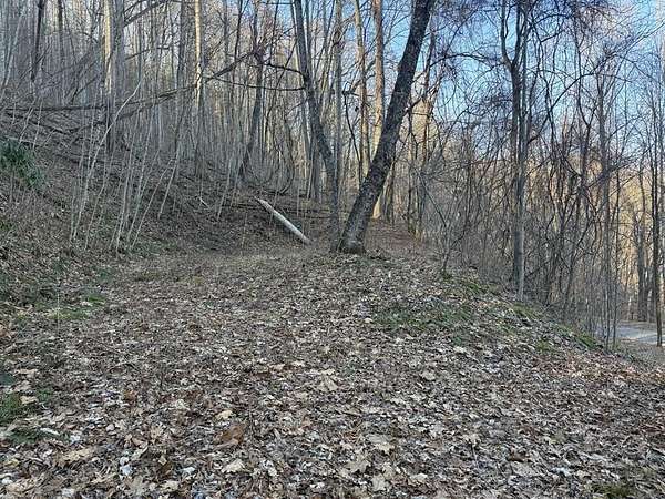 2 Acres of Residential Land for Sale in Bryson City, North Carolina