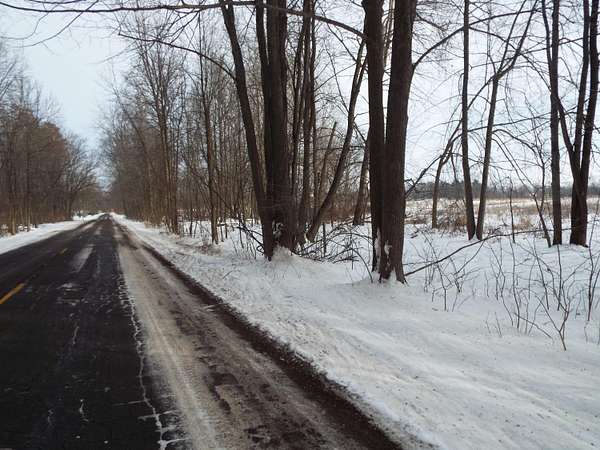 17.5 Acres of Land for Sale in Leslie, Michigan