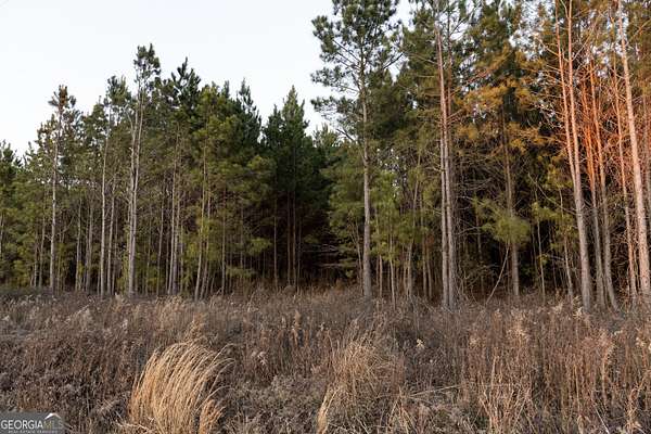 5 Acres of Land for Sale in Montrose, Georgia