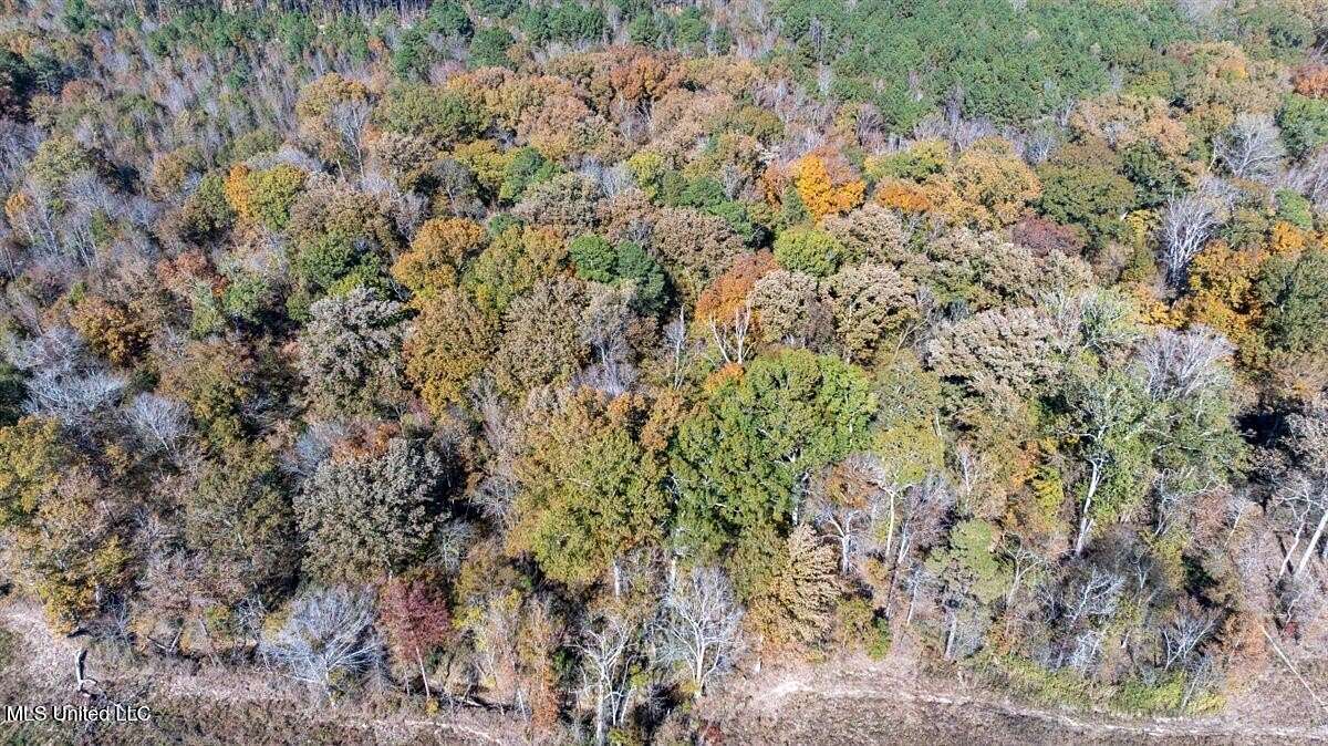 40 Acres of Recreational & Residential Land for Sale in Pelahatchie, Mississippi