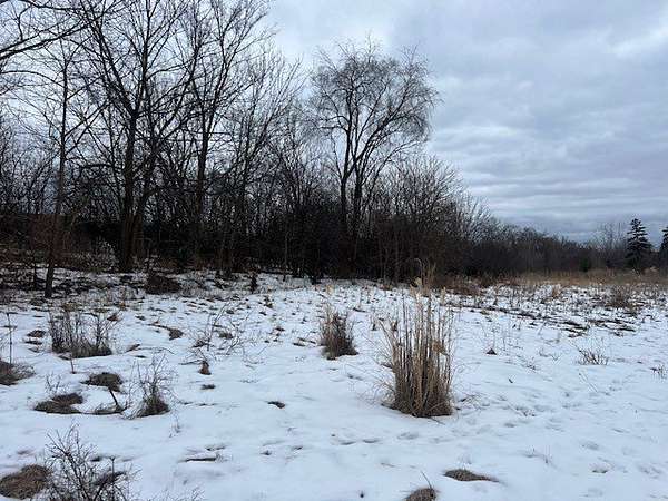 0.47 Acres of Residential Land for Sale in Lombard, Illinois