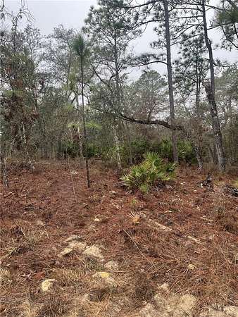 0.31 Acres of Residential Land for Sale in Dunnellon, Florida