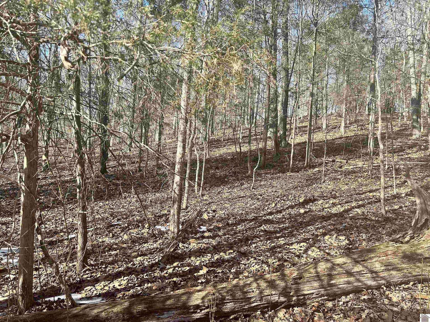 1.74 Acres of Residential Land for Sale in Cadiz, Kentucky