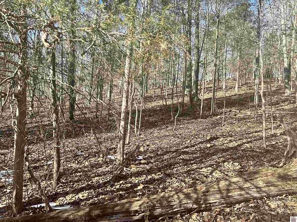 1.74 Acres of Residential Land for Sale in Cadiz, Kentucky