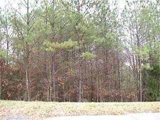 0.46 Acres of Land for Sale in Chatsworth, Georgia