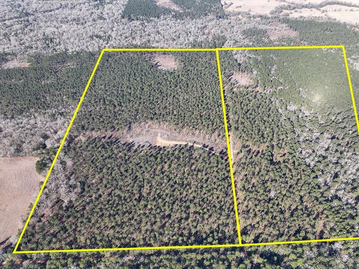 68 Acres of Land for Sale in Pennington, Texas