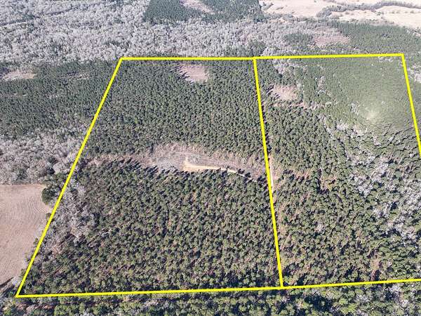 68 Acres of Land for Sale in Pennington, Texas