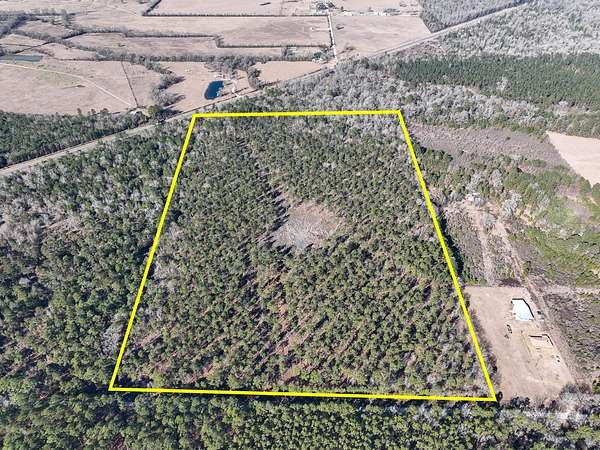 49 Acres of Recreational Land for Sale in Pennington, Texas
