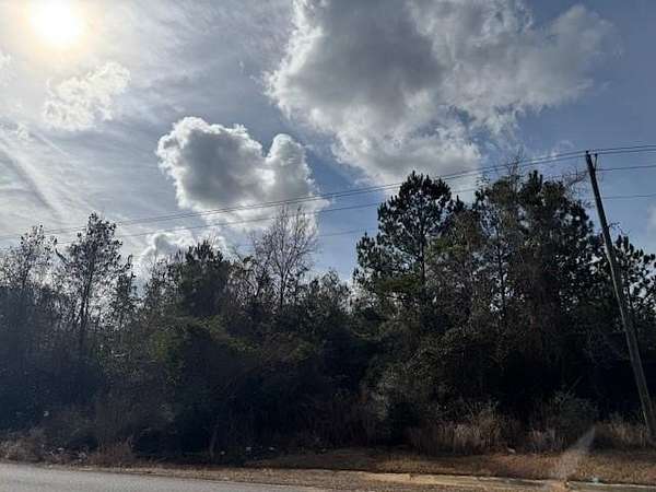 15.9 Acres of Land for Sale in Mobile, Alabama