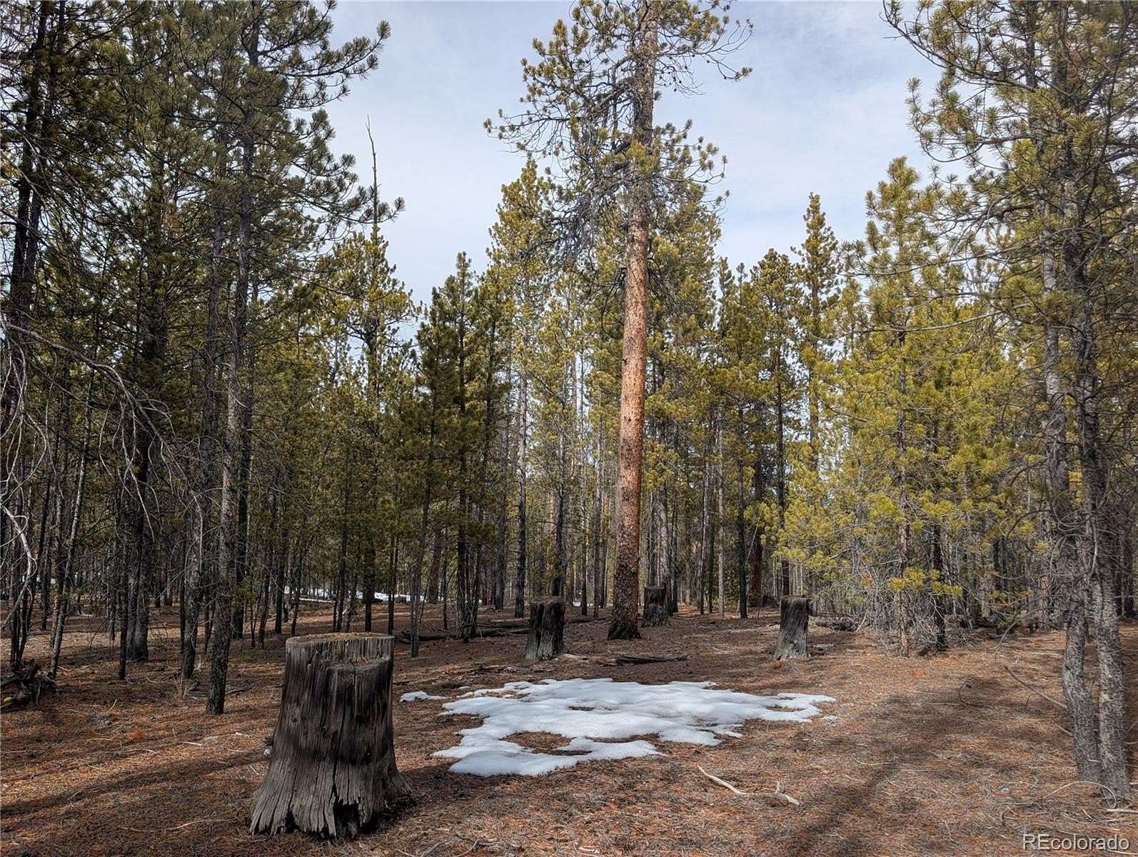 0.3 Acres of Residential Land for Sale in Twin Lakes, Colorado