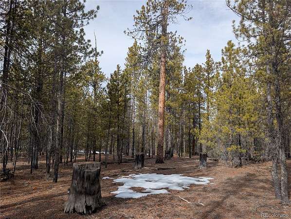 0.3 Acres of Residential Land for Sale in Twin Lakes, Colorado