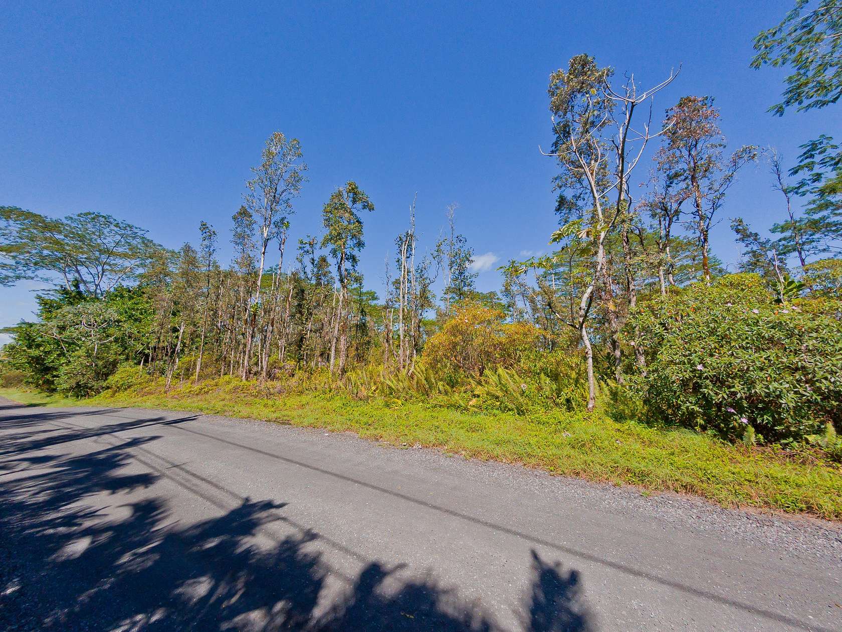 1 Acre of Residential Land for Sale in Keaau, Hawaii