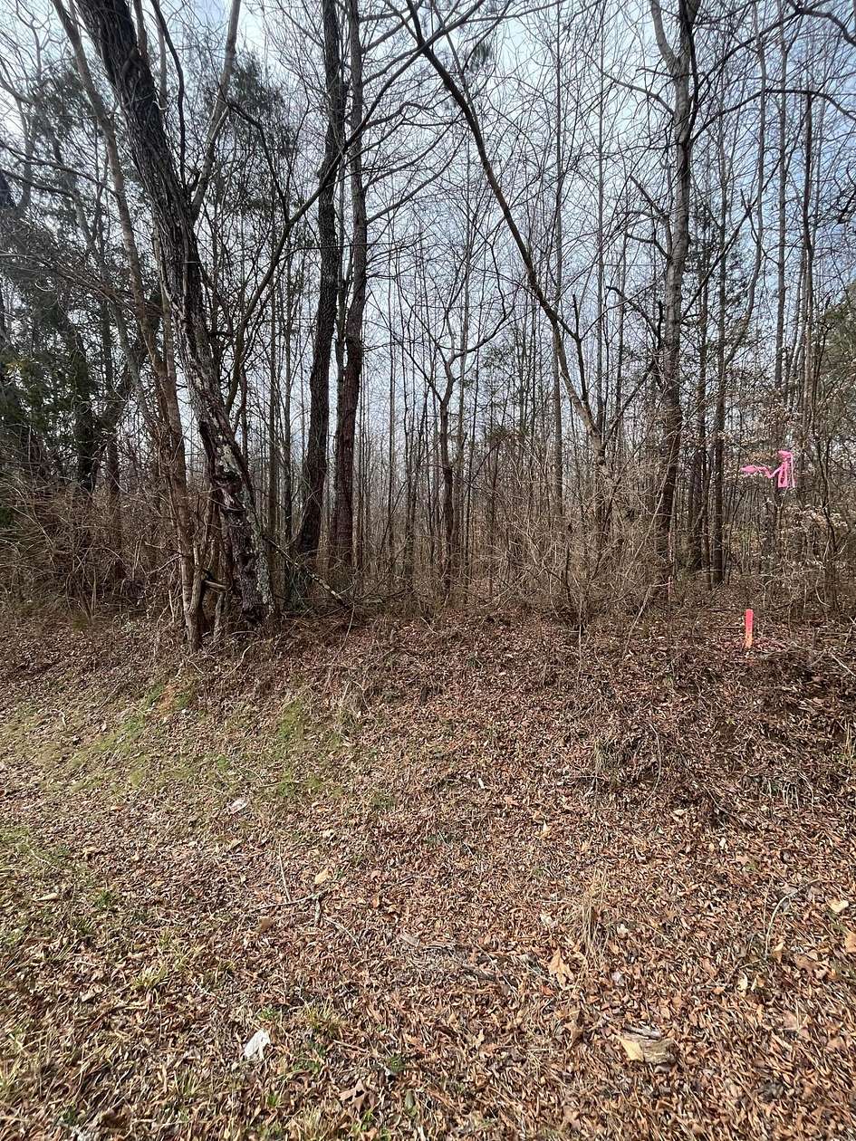 1 Acre of Residential Land for Sale in Decatur, Tennessee