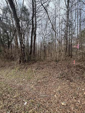 1 Acre of Residential Land for Sale in Decatur, Tennessee