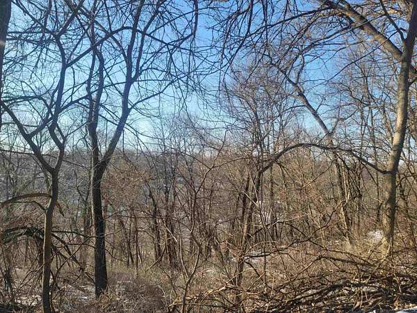 0.32 Acres of Land for Sale in Galena, Illinois
