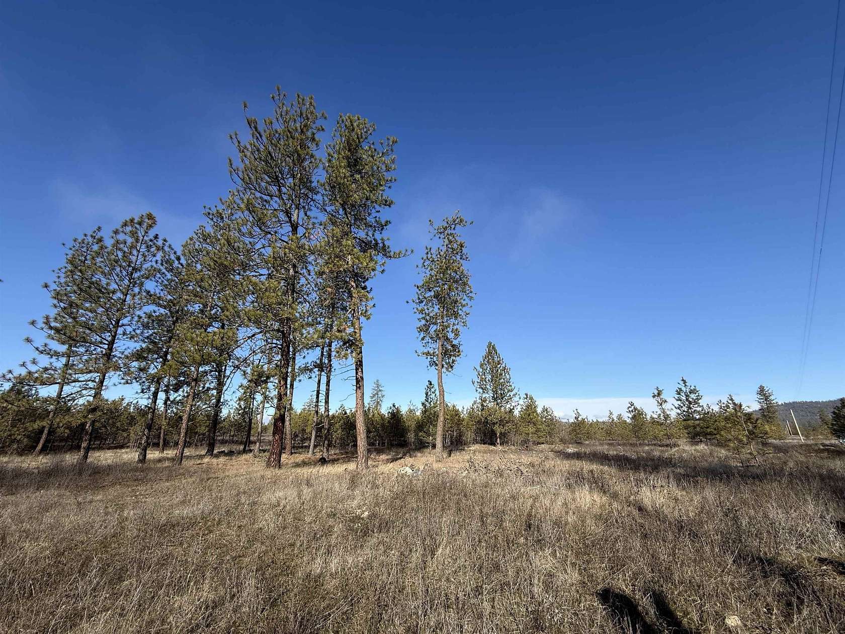 10 Acres of Land for Sale in Ford, Washington