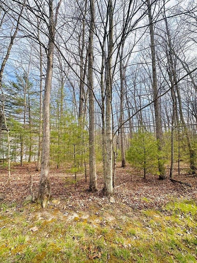 0.41 Acres of Residential Land for Sale in Daniels, West Virginia