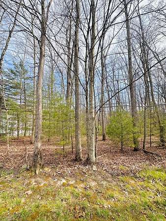 0.41 Acres of Residential Land for Sale in Daniels, West Virginia