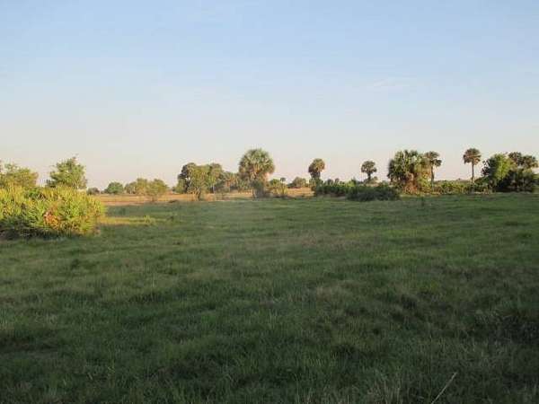 40 Acres of Agricultural Land for Sale in Okeechobee, Florida