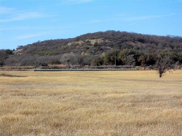 80 Acres of Agricultural Land for Sale in Rising Star, Texas