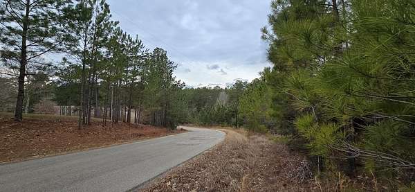 1 Acre of Residential Land for Sale in Brookeland, Texas