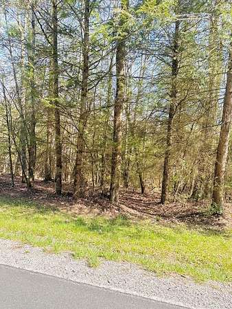 0.43 Acres of Residential Land for Sale in Shady Spring, West Virginia