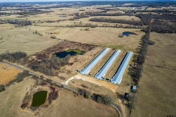 37.2 Acres of Land for Sale in Mount Vernon, Texas