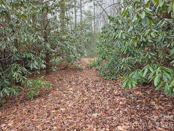 1.29 Acres of Land for Sale in Burnsville, North Carolina