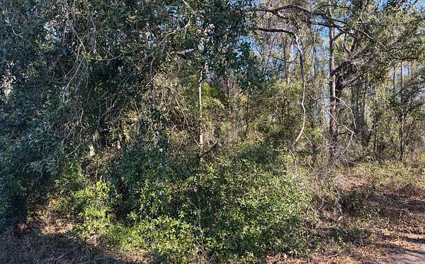 2 Acres of Residential Land for Sale in Jasper, Florida