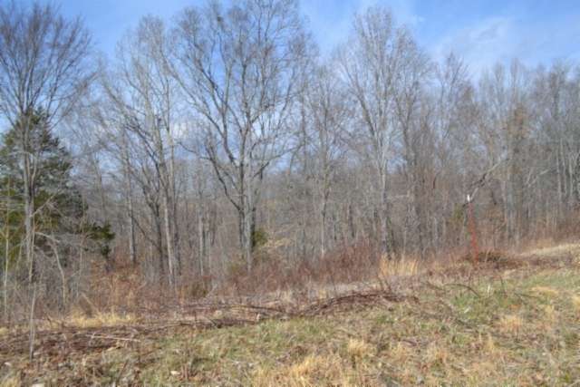 4.13 Acres of Residential Land for Sale in Baxter, Tennessee