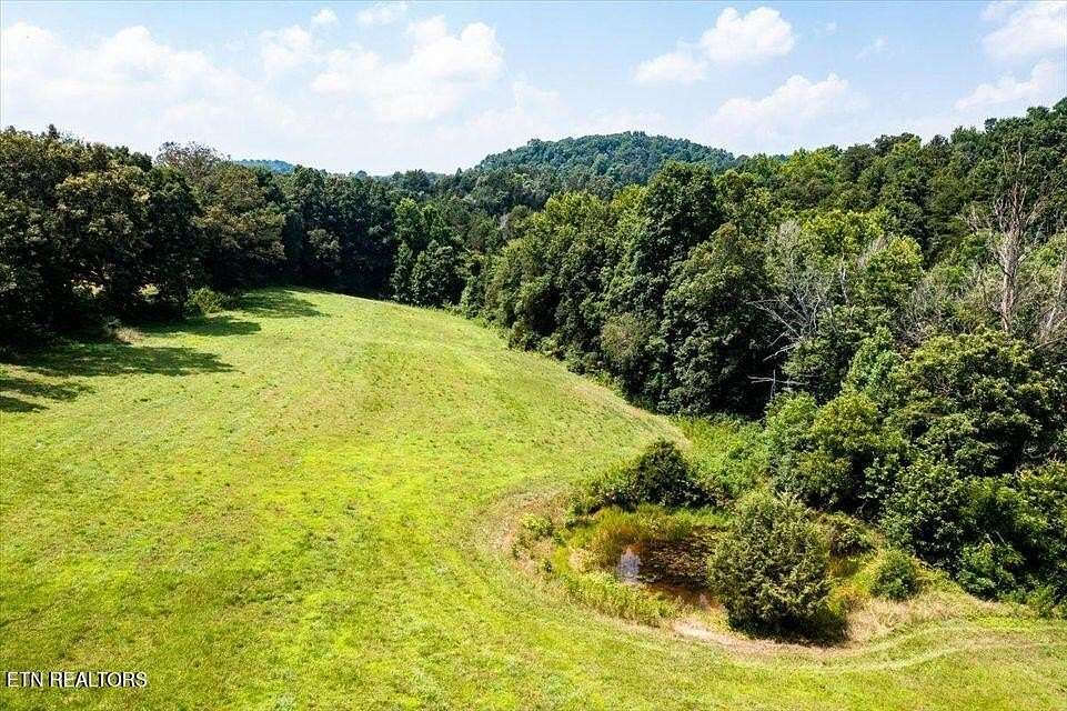 29.1 Acres of Recreational Land for Sale in Sharps Chapel, Tennessee