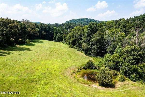 29.1 Acres of Recreational Land for Sale in Sharps Chapel, Tennessee