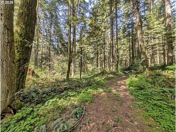 5 Acres of Residential Land for Sale in Brightwood, Oregon