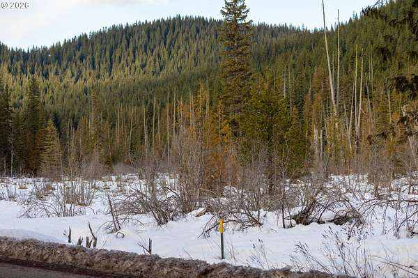 1.44 Acres of Residential Land for Sale in Government Camp, Oregon