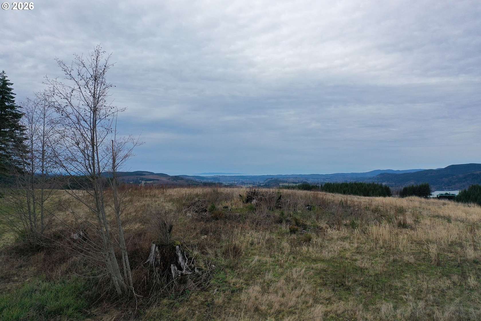 10 Acres of Residential Land for Sale in Mossyrock, Washington