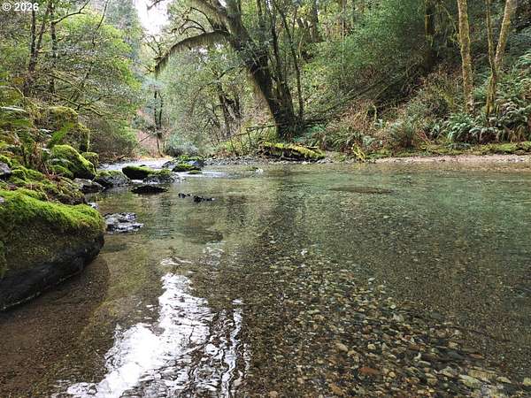 90 Acres of Recreational Land for Sale in Port Orford, Oregon
