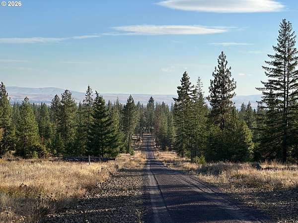 19.8 Acres of Land for Sale in Goldendale, Washington