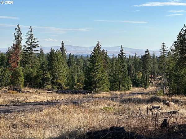 19.8 Acres of Land for Sale in Goldendale, Washington