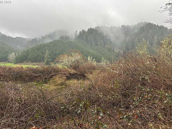 1 Acre of Residential Land for Sale in Florence, Oregon