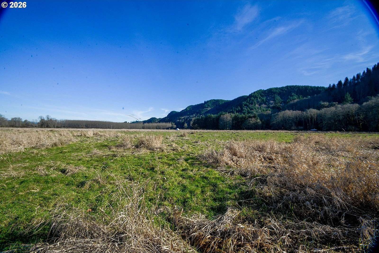 85.8 Acres of Land for Sale in Clatskanie, Oregon