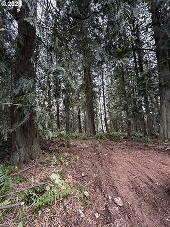 4.75 Acres of Residential Land for Sale in Rainier, Oregon
