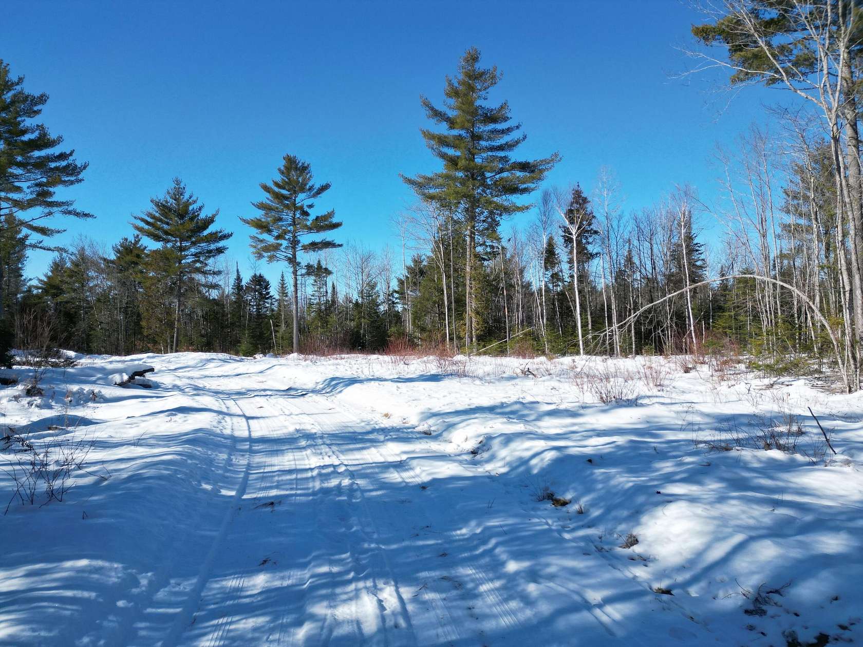 80 Acres of Recreational Land for Sale in Burnham, Maine