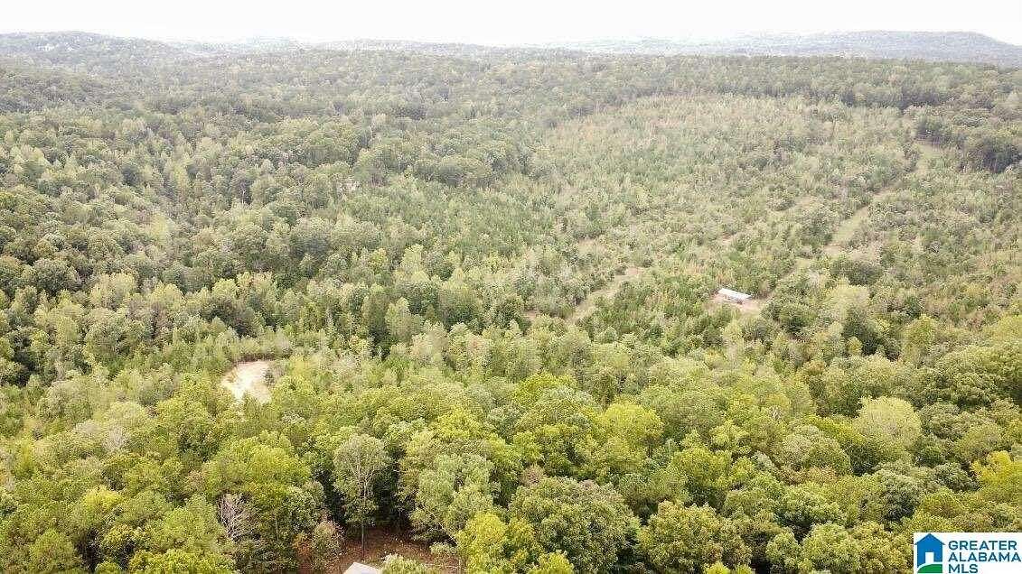 2 Acres of Residential Land for Sale in Odenville, Alabama