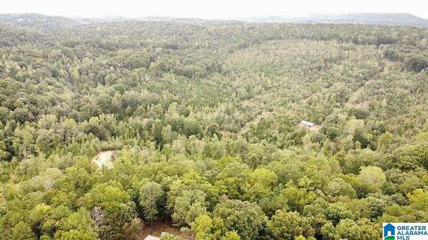 2 Acres of Residential Land for Sale in Odenville, Alabama