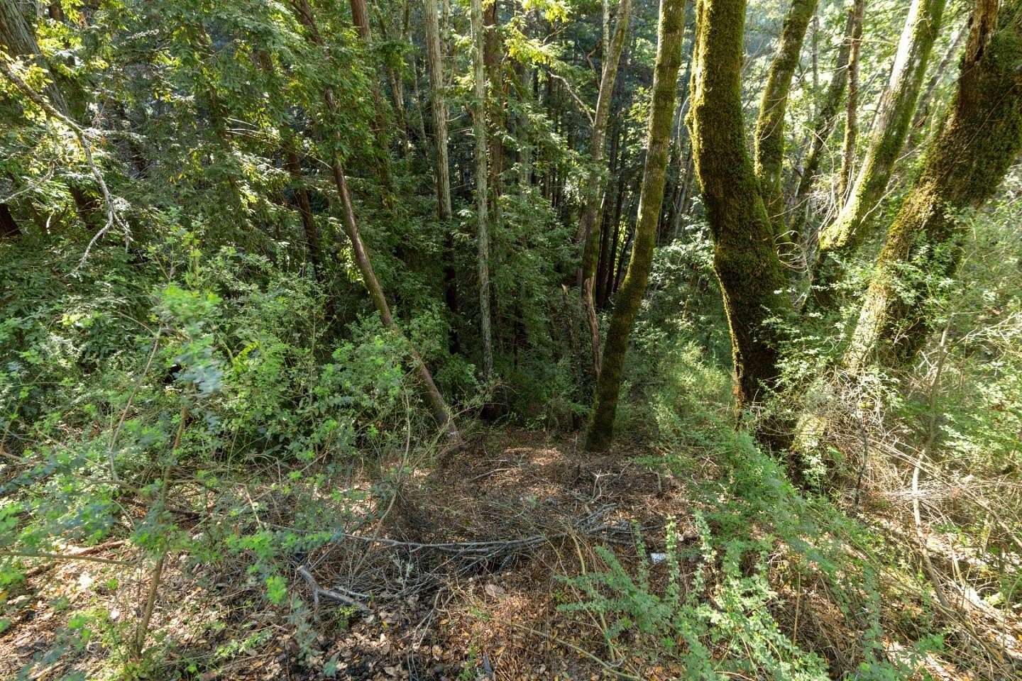 0.1 Acres of Residential Land for Sale in Felton, California