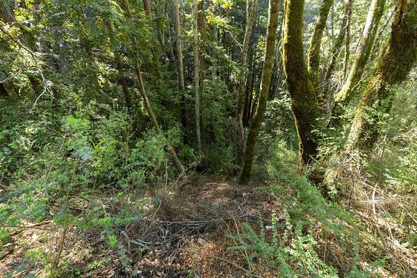 Residential Land for Sale in Felton, California