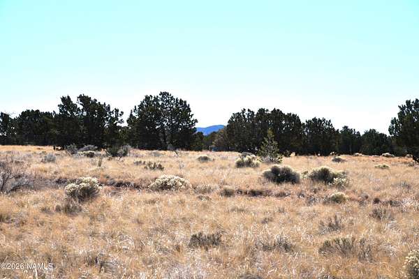 0.95 Acres of Land for Sale in Williams, Arizona